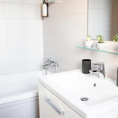 Urban Loft Old Town 25 아파트 티미쇼아라