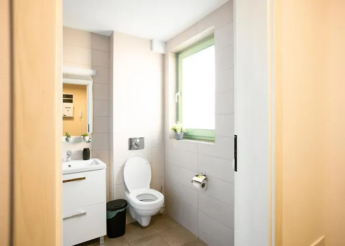 Urban Loft Old Town 25 * 티미쇼아라