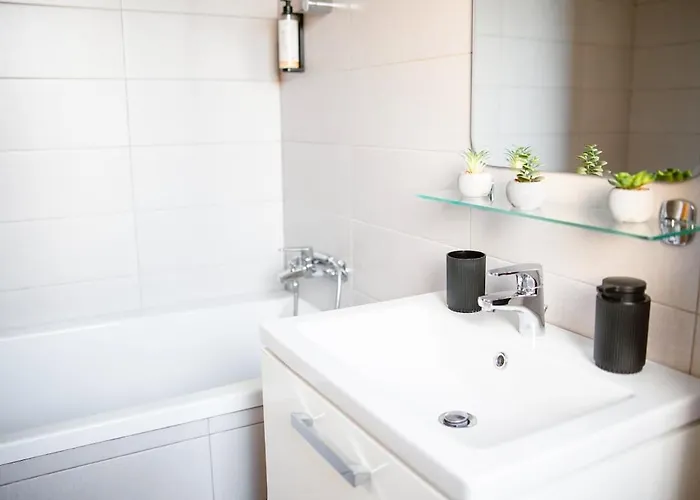 Urban Loft Old Town 25 아파트 티미쇼아라